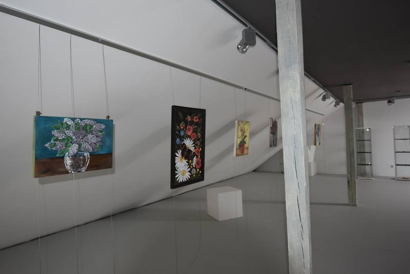 DSC9541-galeria-1200-1200Q72