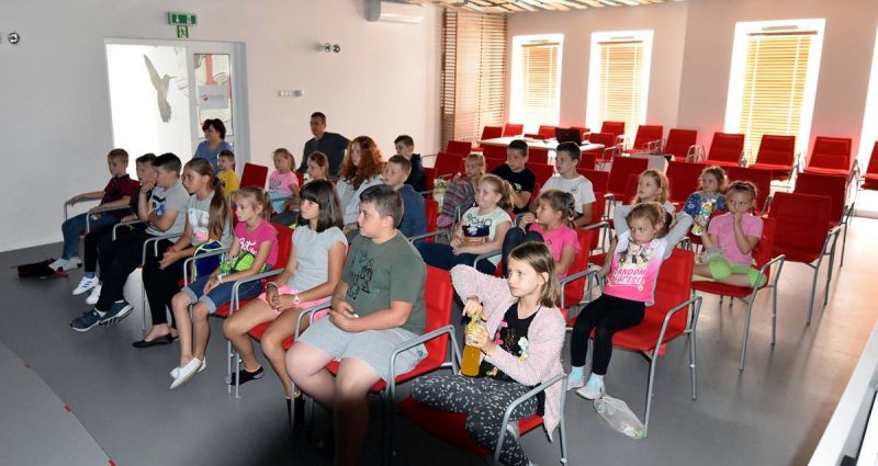 DSC9610-galeria-1200-1200Q72