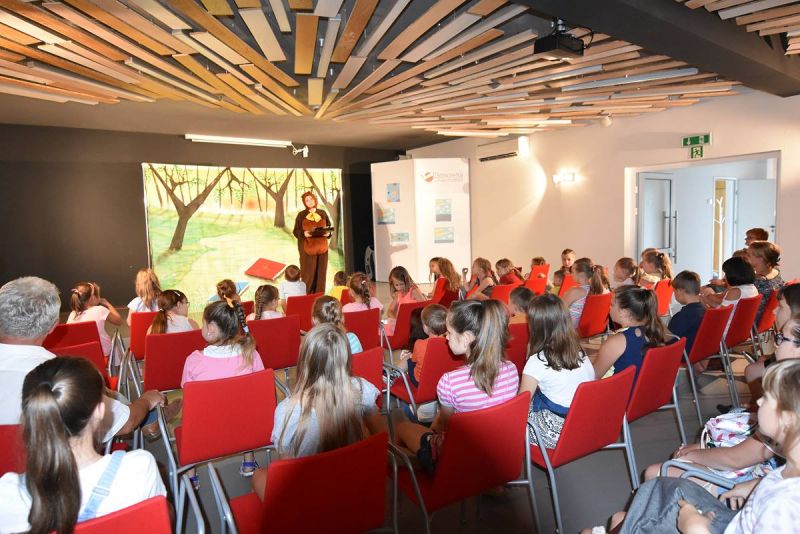 DSC0552-galeria-1200-1200Q72