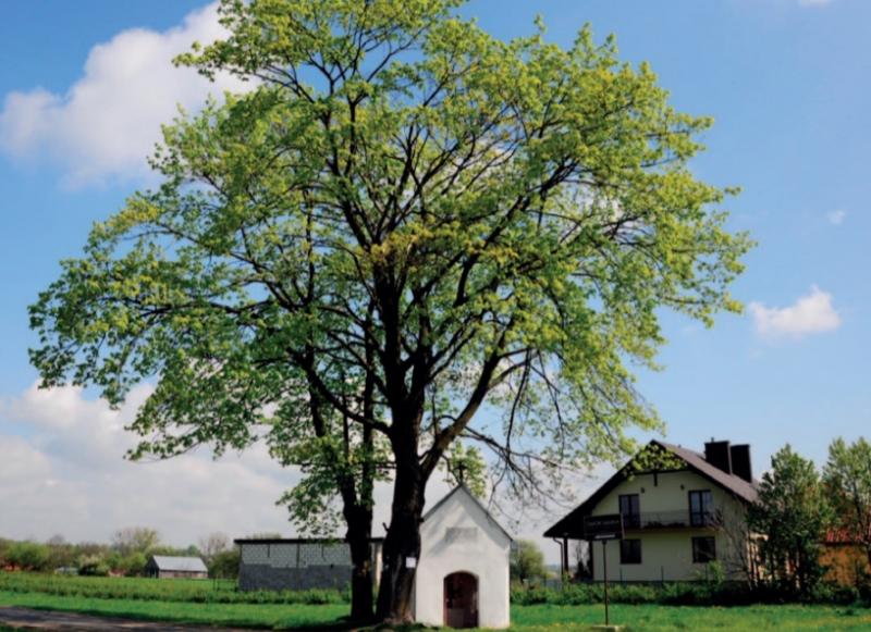 Kapliczka św. Walentego Kapliczka św. Walentego na Wolicy