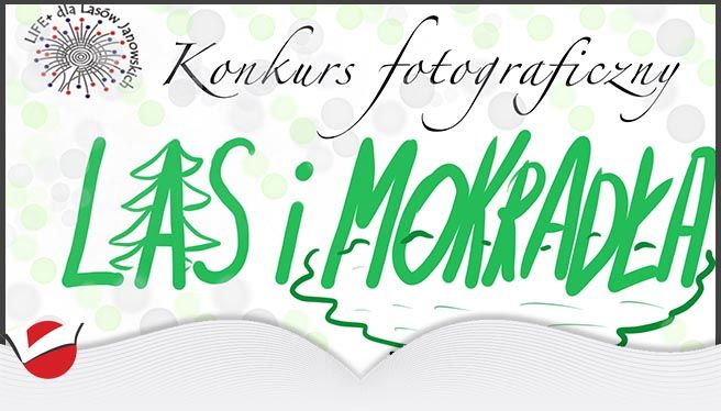 Konkurs fotograficzny „Las i mokradła”
